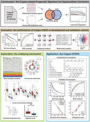 Development and validation of a copper-related gene prognostic signature in hepatocellular carcinoma